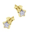 Dreamy Star Silver Stud Earring STS-6926